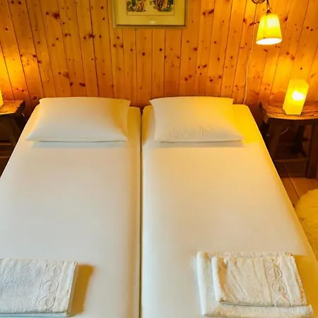 Exceptional Mont-Blanc View Center Parking *