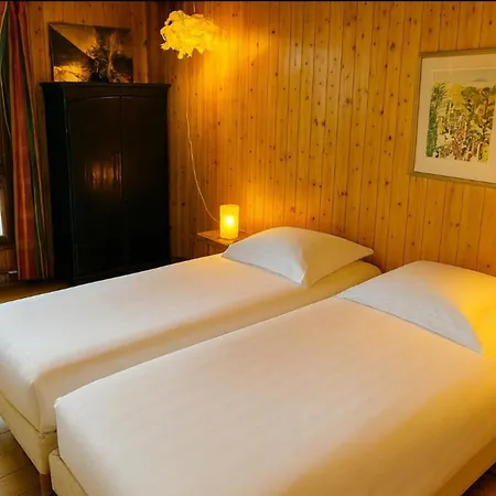 Apartment With Mont Blanc Balcony's View *